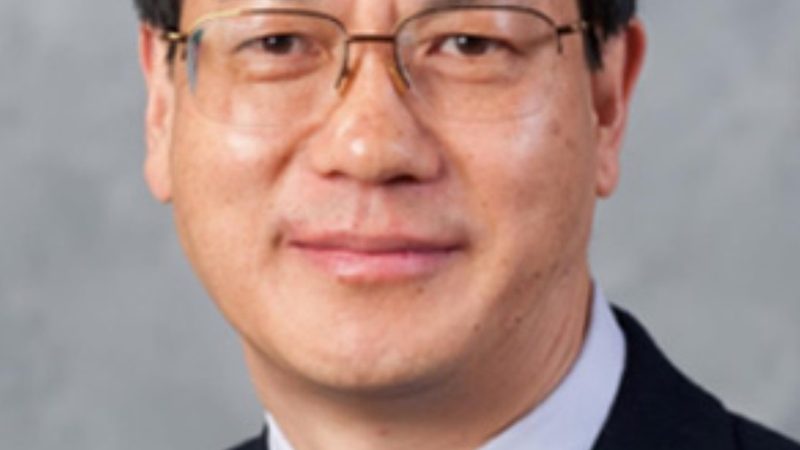 贴片插件与插件哪个更划算？揭秘成本背后的秘密