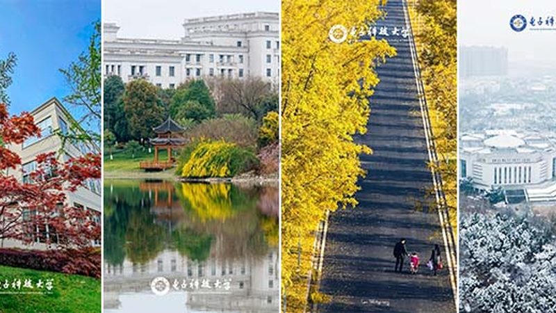 步进电机驱动模块选型：关键要素与误区解析