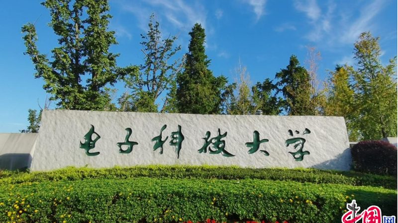芯片设计流程解析：从版图设计看差异