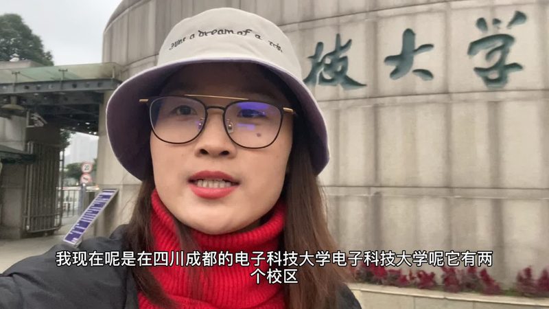 电解电容在电子电路中的应用与选择要点**